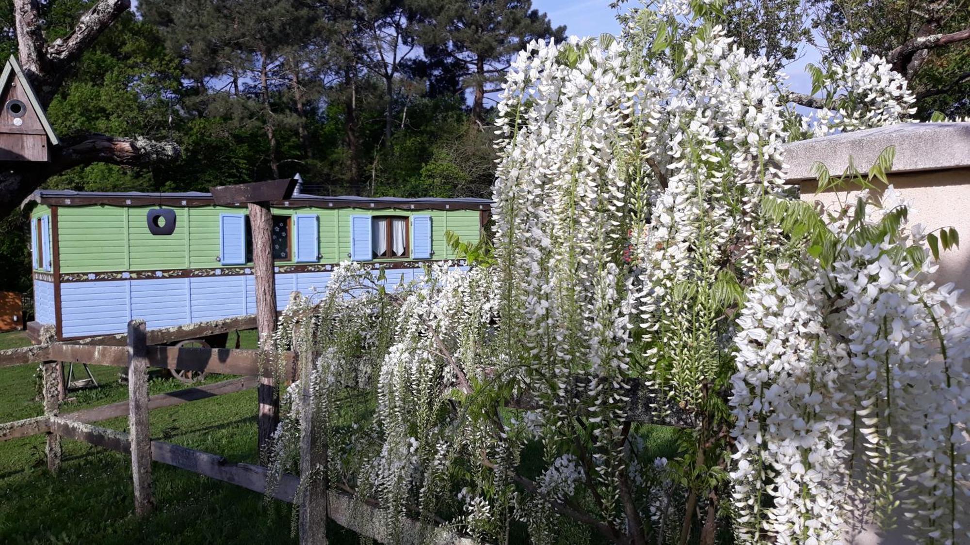 Roulotte Fleur Des Champs Βίλα Sigalens Εξωτερικό φωτογραφία